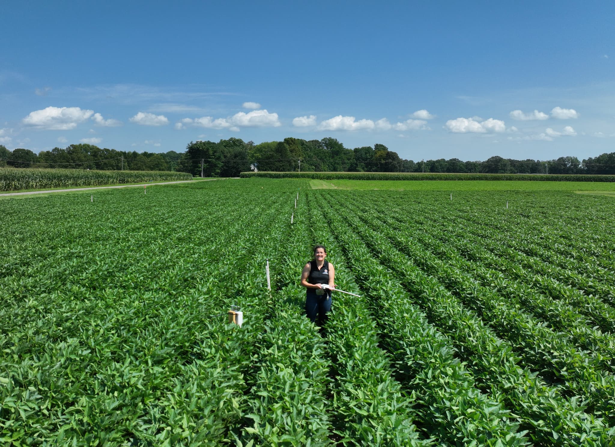 UAVs and AI for Crop Management and Environmental Sustainability