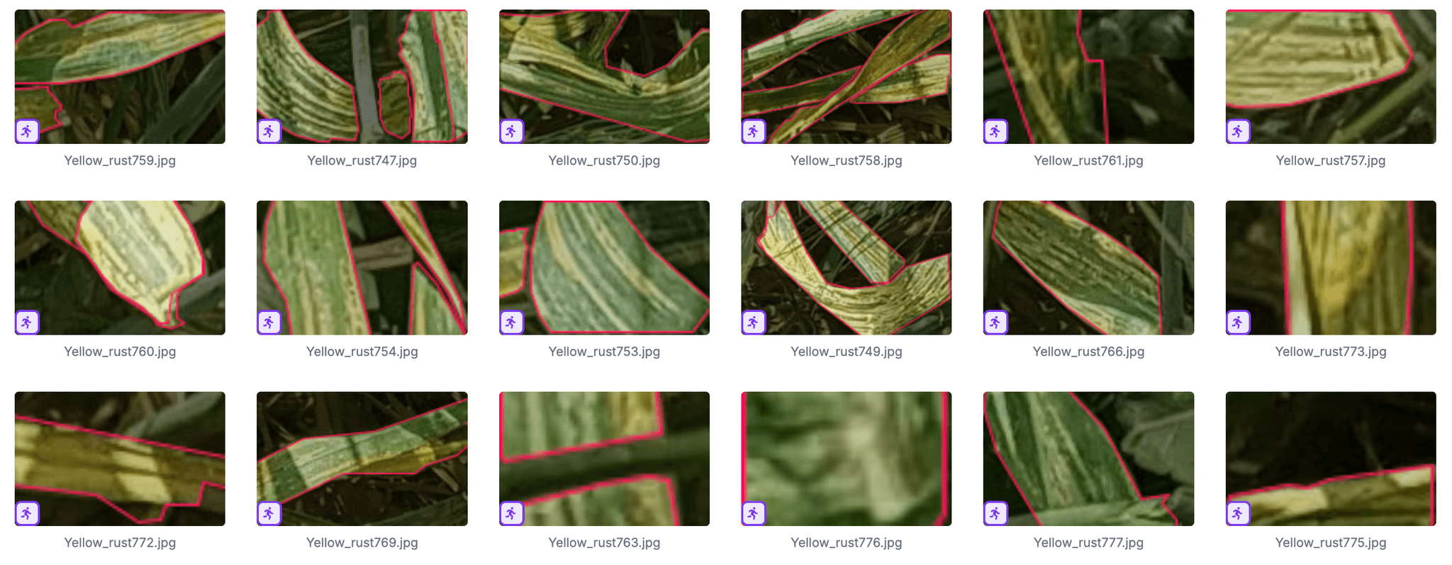 Disease Detection Model for Agricultural Cropping Systems 3