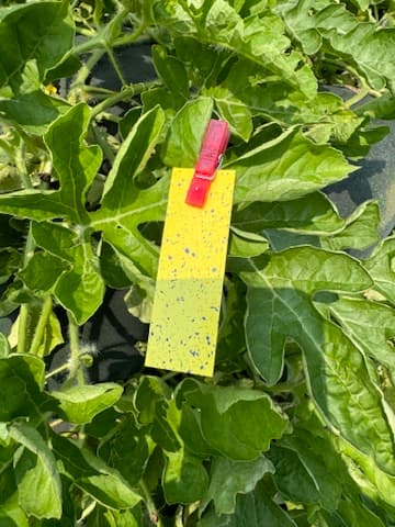 Optimizing Smart Spraying using Unmanned Aerial Vehicle (UAV)