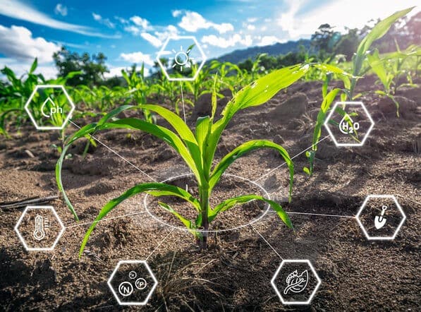 Artificial Intelligence (AI)-based estimation of agrochemical deposition for complex agricultural systems