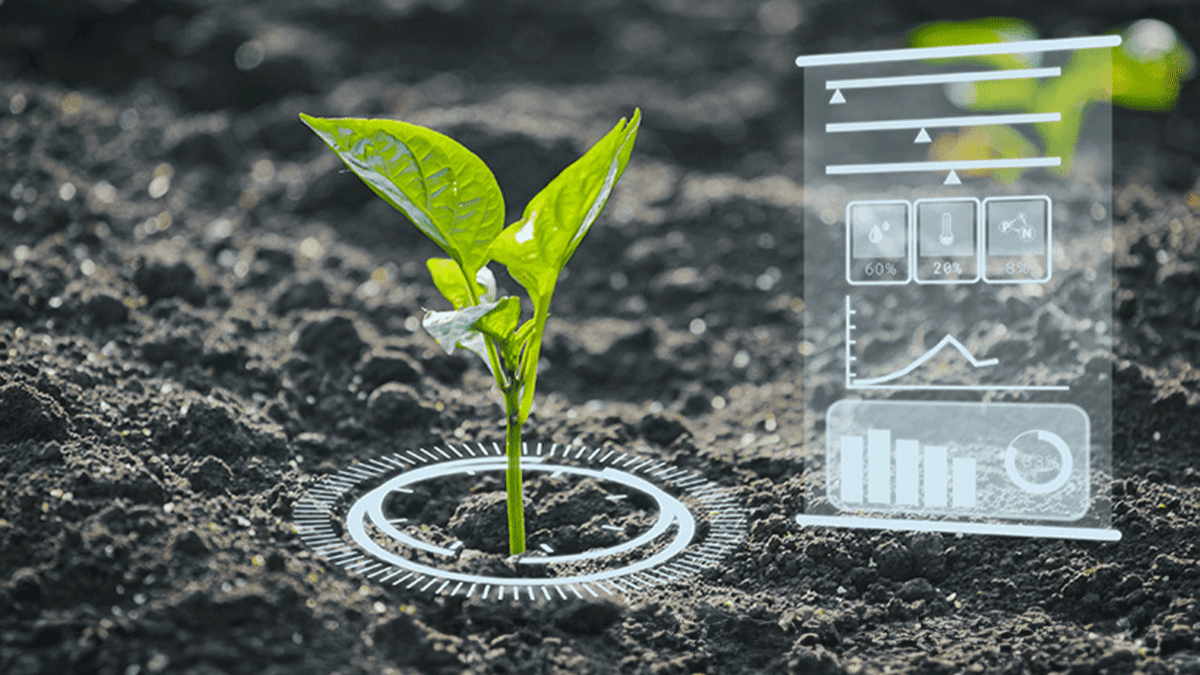 Artificial Intelligence (AI)-based estimation of agrochemical deposition for complex agricultural systems 2