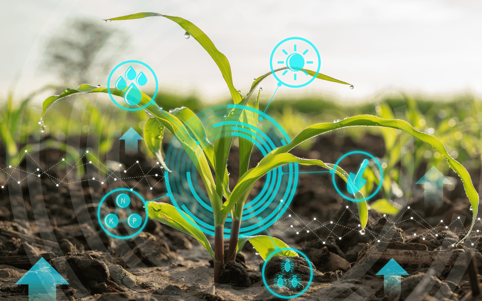 Artificial Intelligence (AI)-based estimation of agrochemical deposition for complex agricultural systems 3