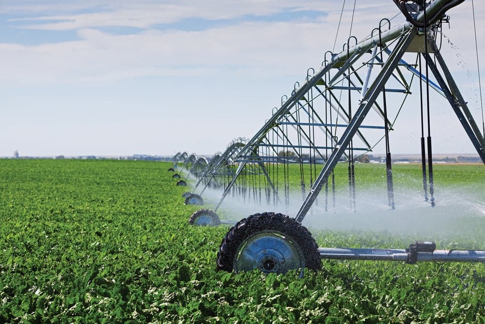 Develop the irrigation management guide for Maryland