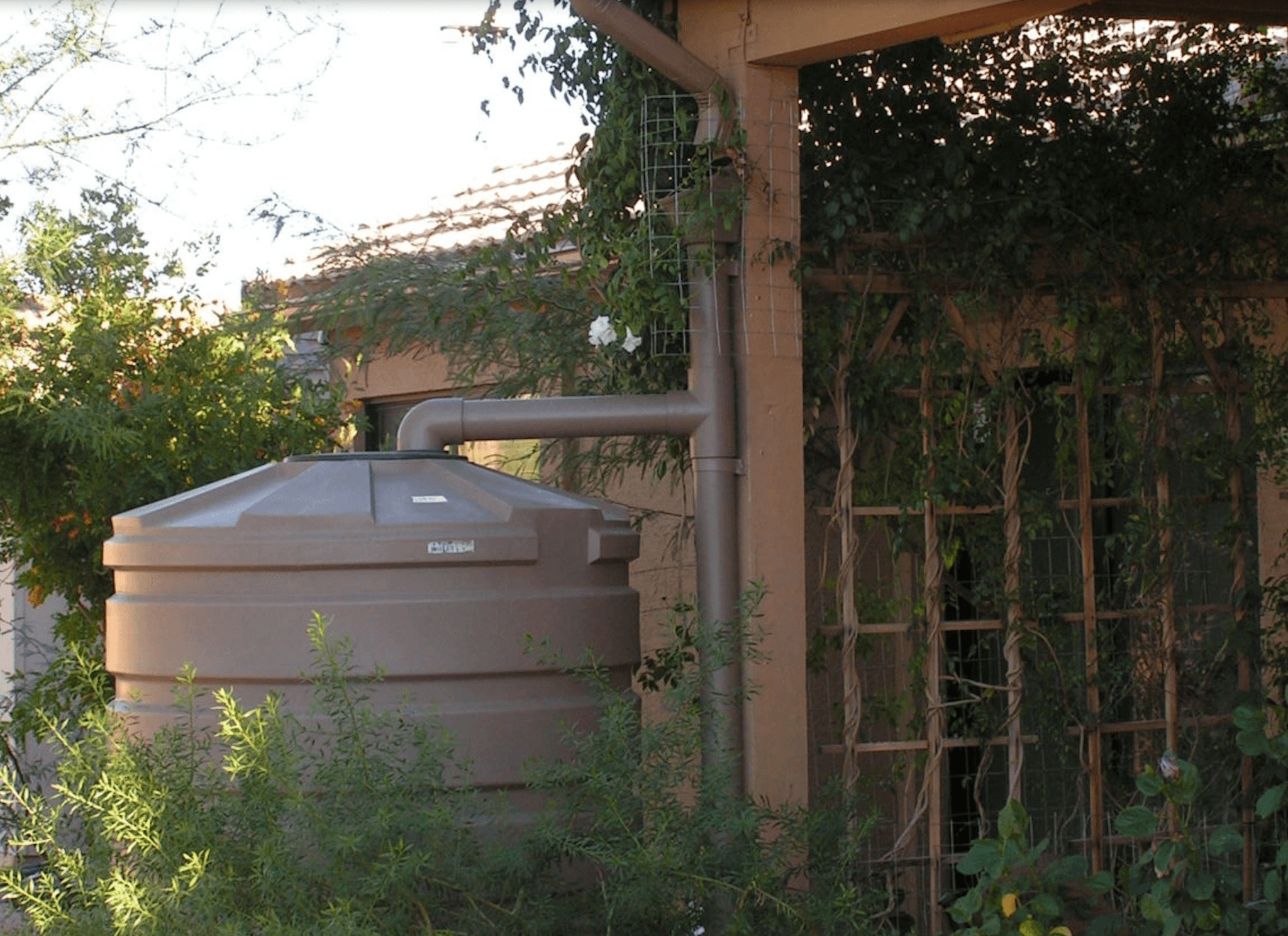 Rainwater Harvesting for Specialty Crops in Mid Atlantic